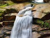 The White Mountain National Forest