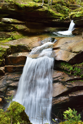 The White Mountain National Forest