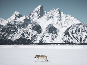 Grand Teton National Park