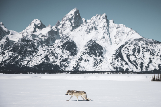 Grand Teton National Park