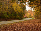 Natchez Trace Parkway