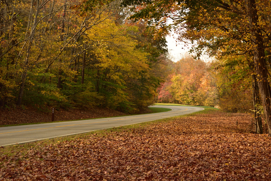 Natchez Trace Parkway