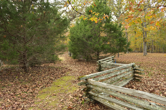  Natchez Trace Parkway