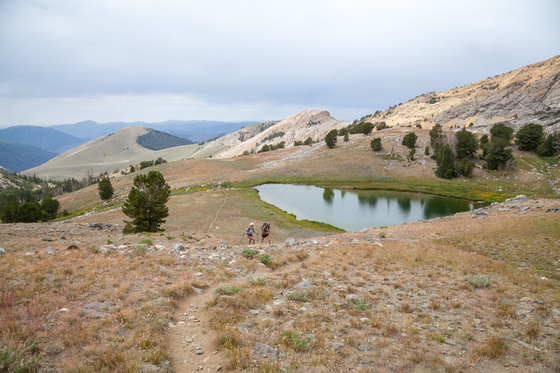 Sawtooth National Forest