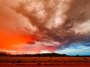 US Forest Service Rd. near Rio RIco, AZ