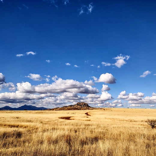 Harshaw Rd., East of Patagonia, AZ