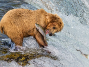 Katmai National Park and Preserve
