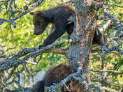 Katmai National Park and Preserve