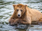 Katmai National Park