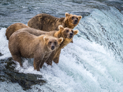 Katmai National Park
