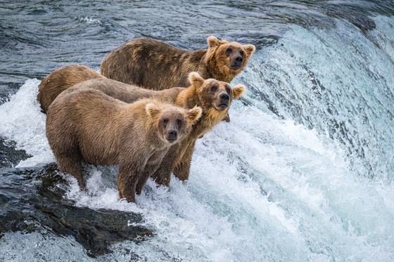 Katmai National Park