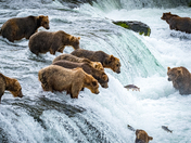 Katmai National Park