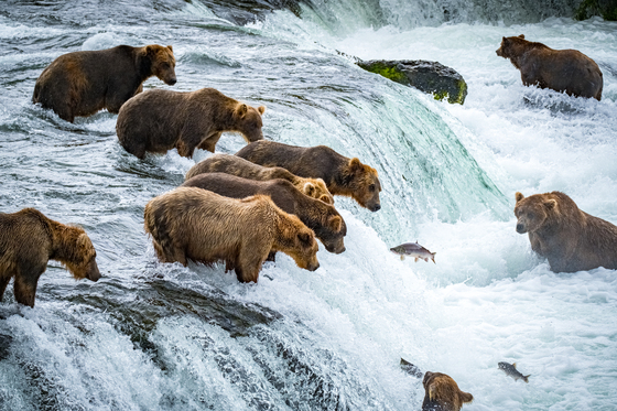 Katmai National Park