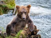 Katmai National Park