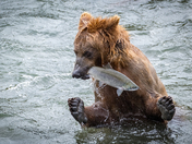 Katmai National Park