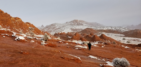 Vermillion Cliffs National Monument