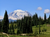 Mt. Rainier National Park