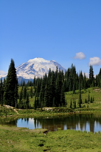 Mt. Rainier National Park