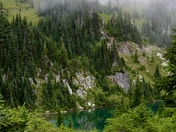 Mt. Rainier National Park