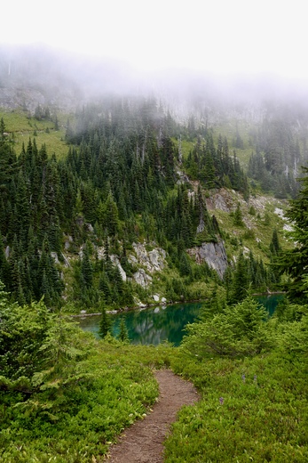 Mt. Rainier National Park