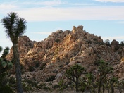 Joshua Tree National Park