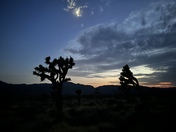 Joshua Tree National Park