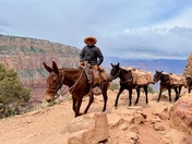 Grand Canyon National Park