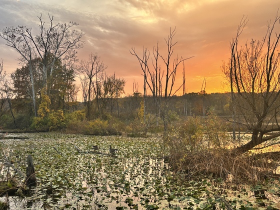 Cuyahoga Valley National Park