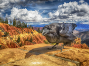 Bryce Canyon National Park