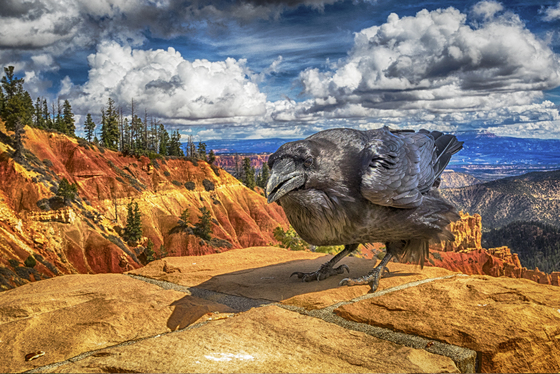 Bryce Canyon National Park