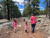 Coconino National Forest