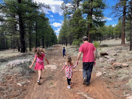 Coconino National Forest