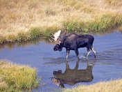 Grand Teton National Park