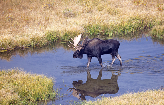 Grand Teton National Park