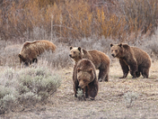 Grand Teton National Park