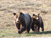 Grand Teton National Park
