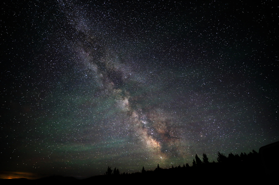 Deerlodge National Forest