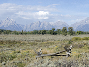 Grand Teton National Park