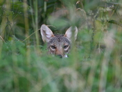 Great Smoky Mountains National Park