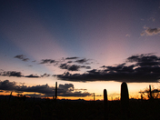 Saguaro National Park West