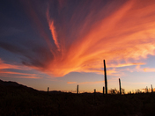 Saguaro National Park West