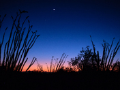 Saguaro National Park West