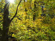  Santa Catalina Mountains