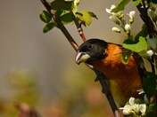 Jenny Lake Trail in Grand Teton National Park