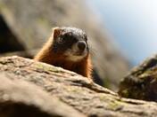 Inspiration Point in Grand Teton National Park