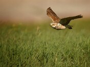Badlands National Park