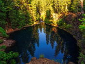 Willamette National Forest