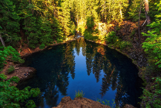 Willamette National Forest