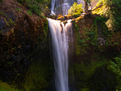 Gifford Pinchot National Forest