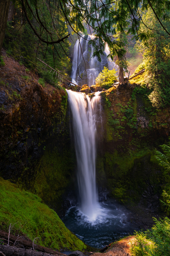Gifford Pinchot National Forest